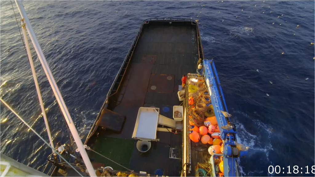 [Image: cpqrk03i1tz6.png]