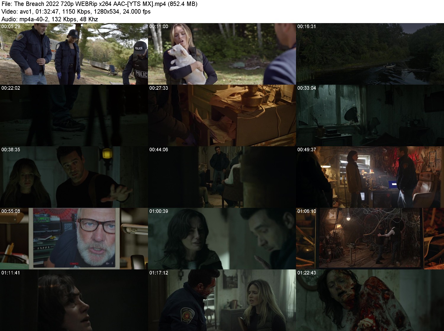 [Image: pcu7gzwjo382.jpg]