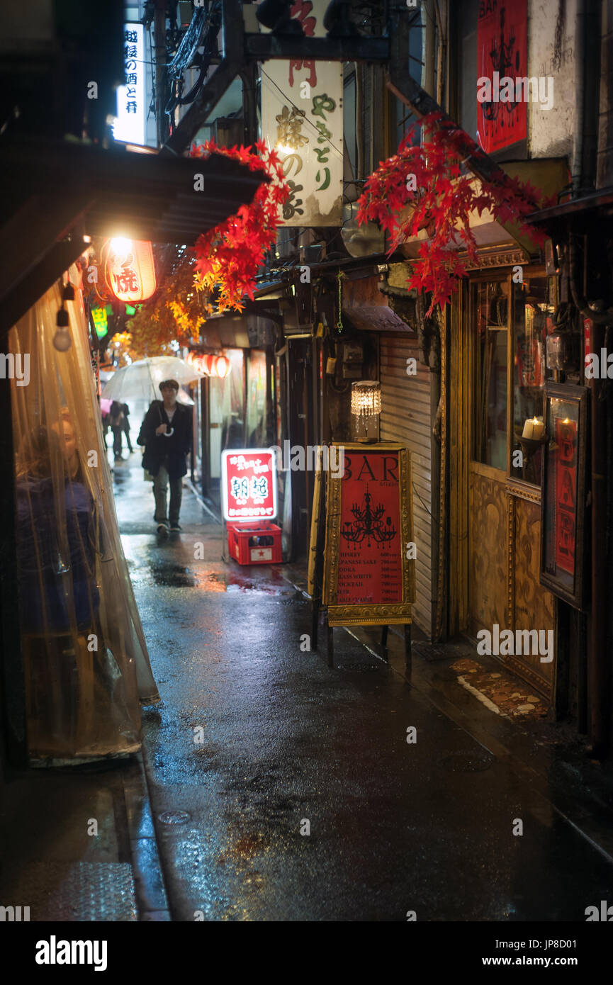 tokyo-japan-night-view-of-the-alley-memory-lane-in-shinjuku-famous-JP8-D01.jpg