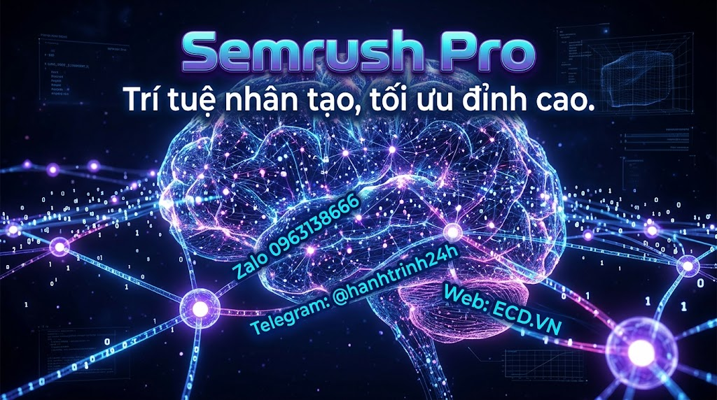 semrush pro cho dự án content