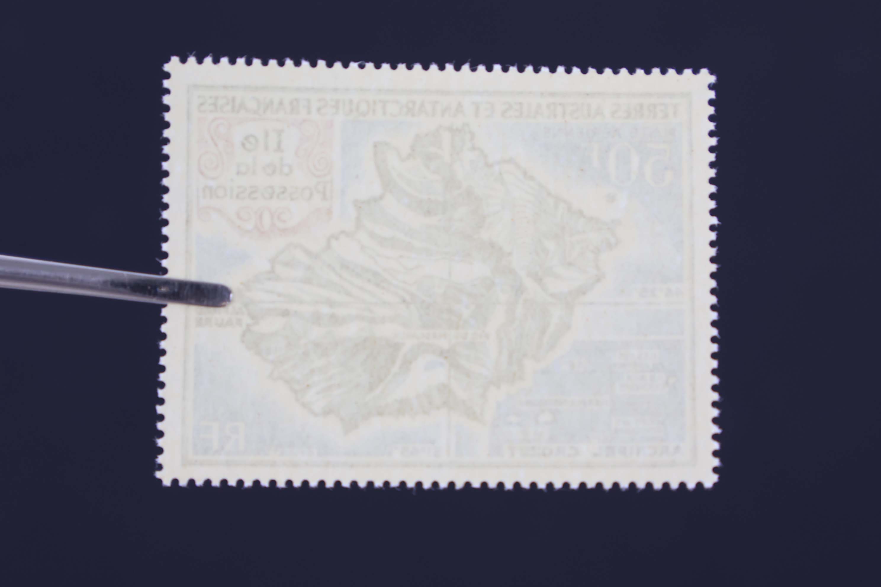 IMG-6069