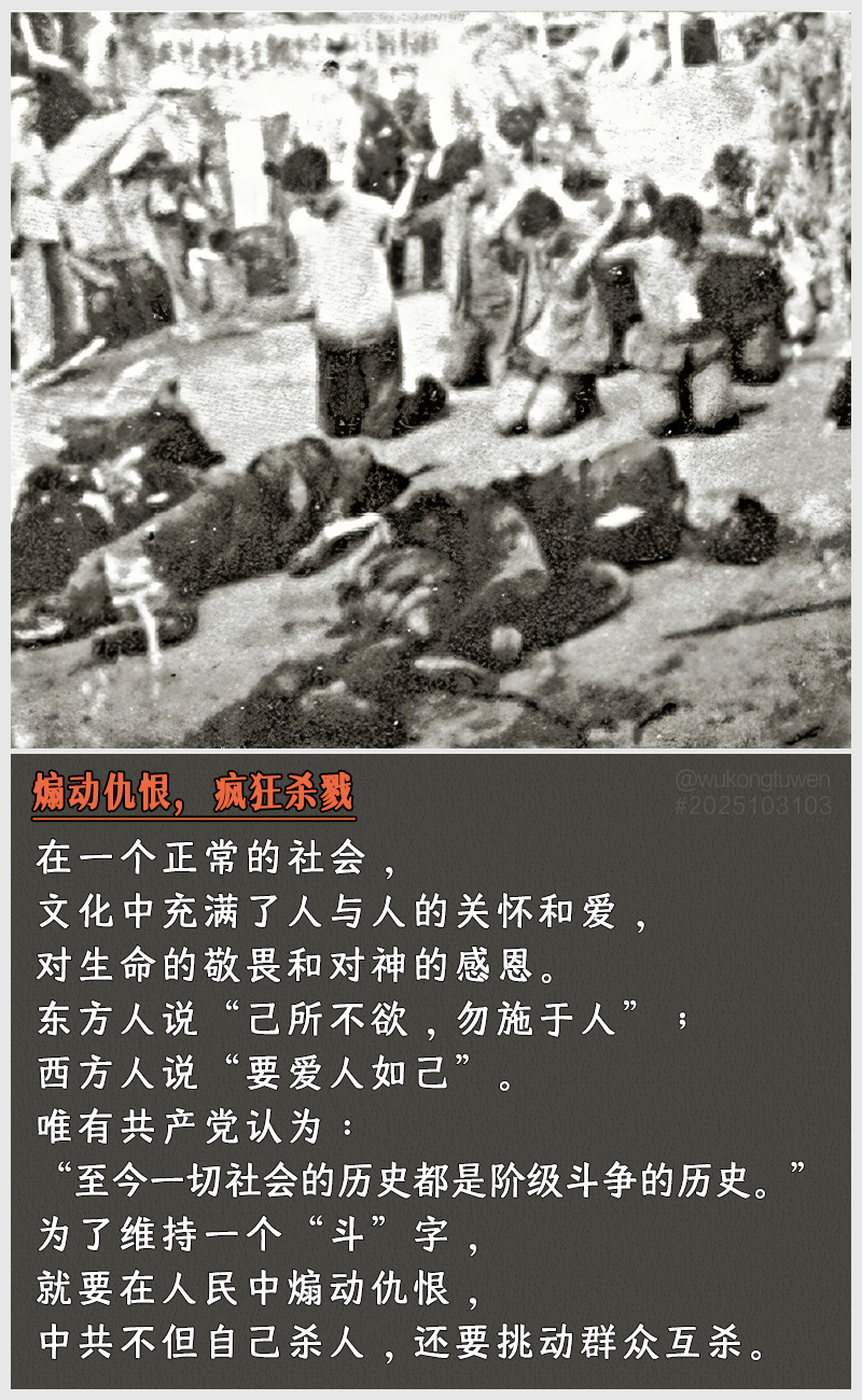 https://i.postimg.cc/zqvYzfNh/2025103103-shan-dong-chou-hen-feng-kuang-sha-lu.jpg