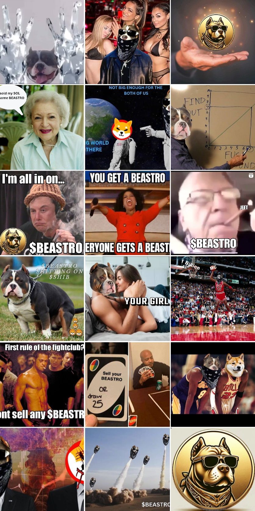 Beastro-Coin-beastrocoin-Instagram-photos-and-videos.png