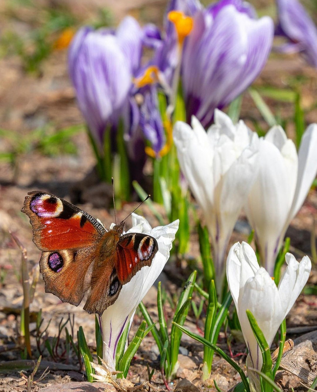 Screenshot_20240403_222238_Instagram