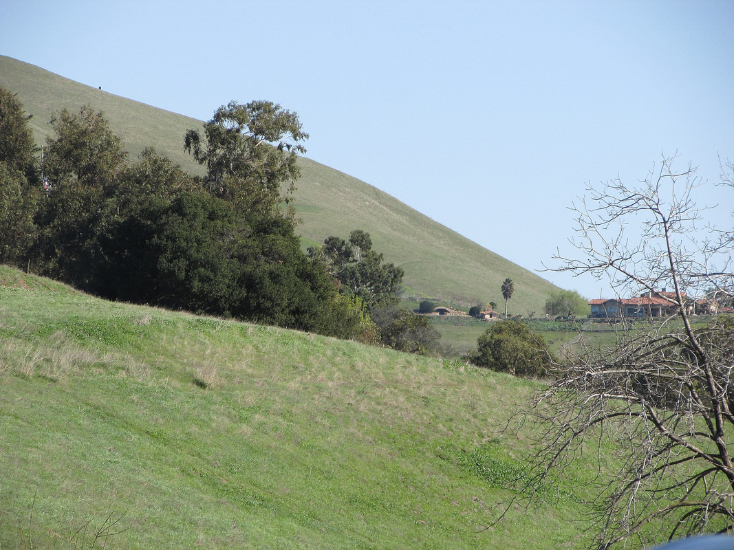 IMG 3428 — Postimages
