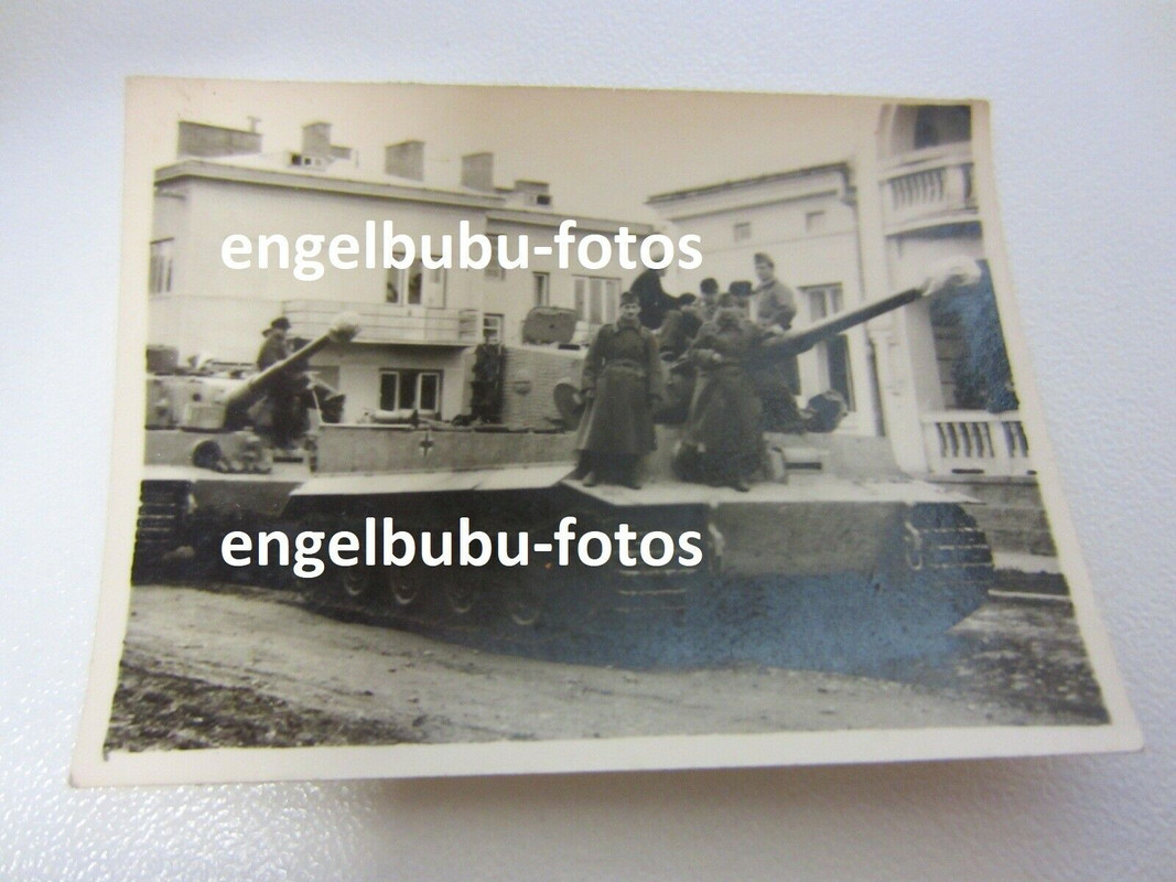 FOTO - PANZER - TIGER - PANZER VI - TIGER-EINSATZ UNGARN 194445 - Zimmerit -2 (2)
