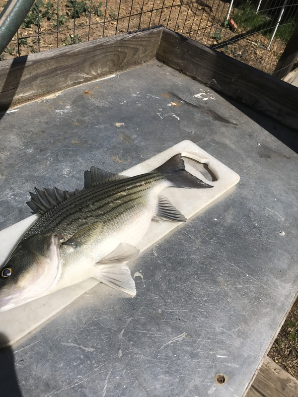 DDEF1056-3B62-4809-B3A5-769042A3CF1B