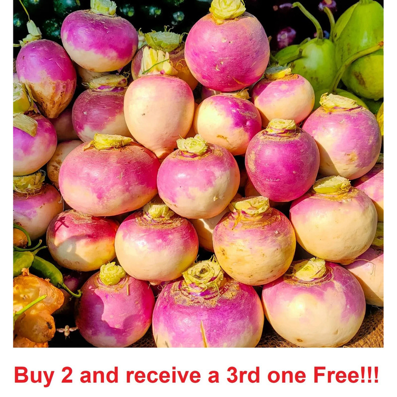 H6075 j Ow AAOSw02dl61b9