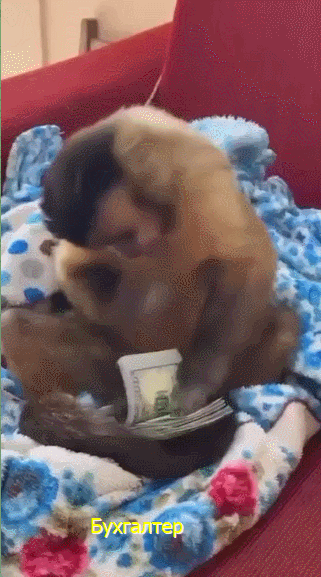 009.gif