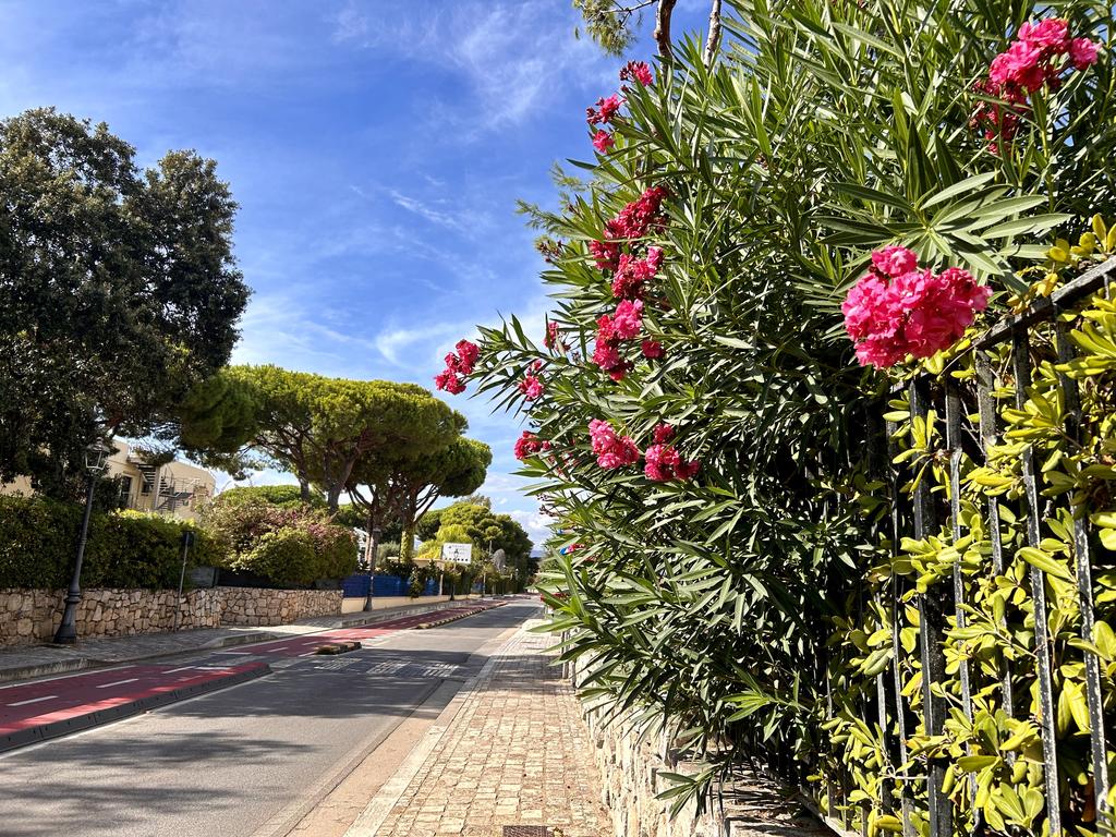 Жаркий сентябрь на побережье Тирренского моря. Жаркий сентябрь на побережье Тирренского моря.