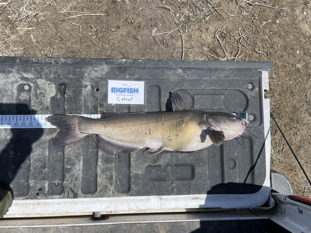 9F99BF6A-9E45-4079-8306-A9DFD1DB0969