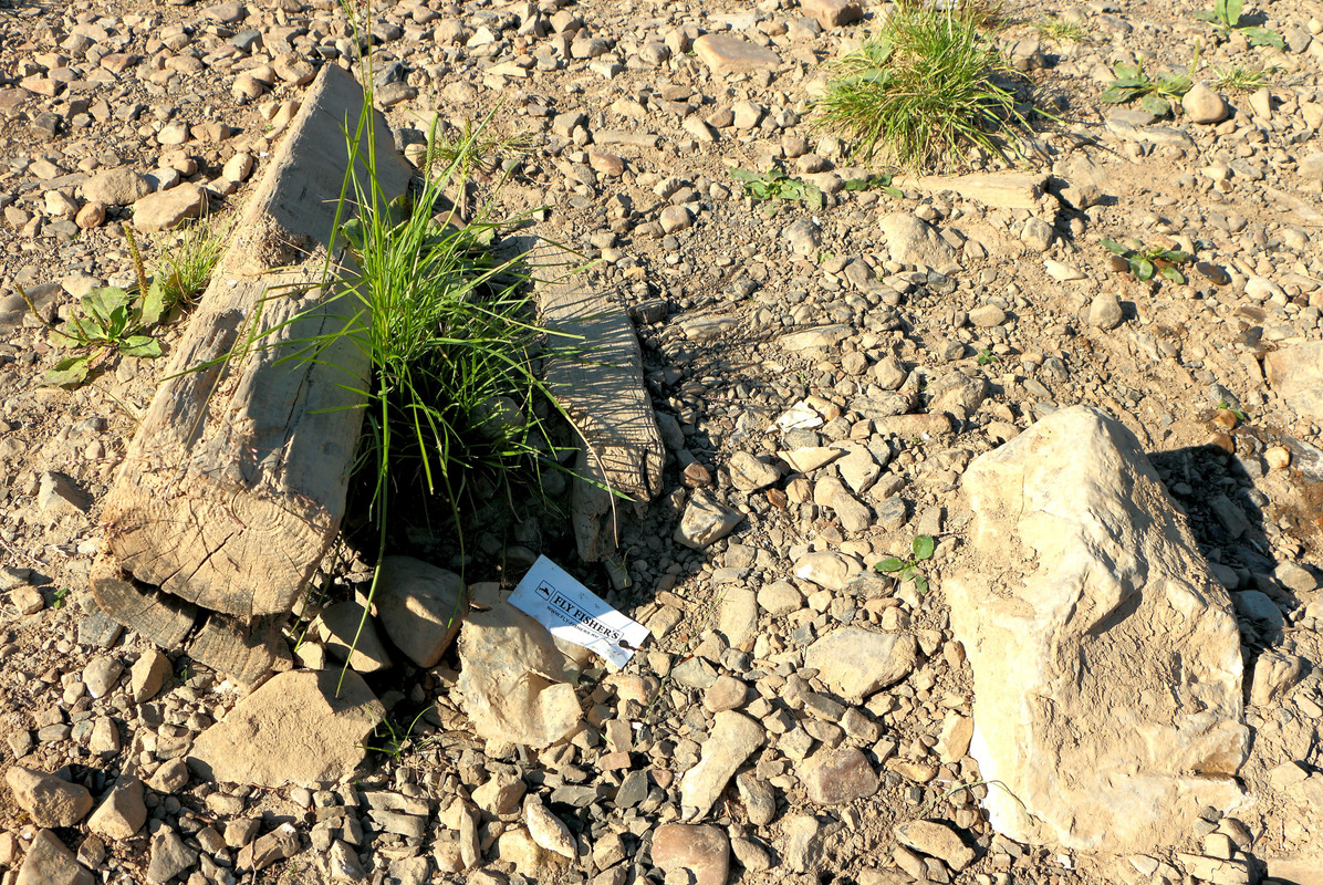 IMG_6184 (9000 x 6020) (6750 x 4515)