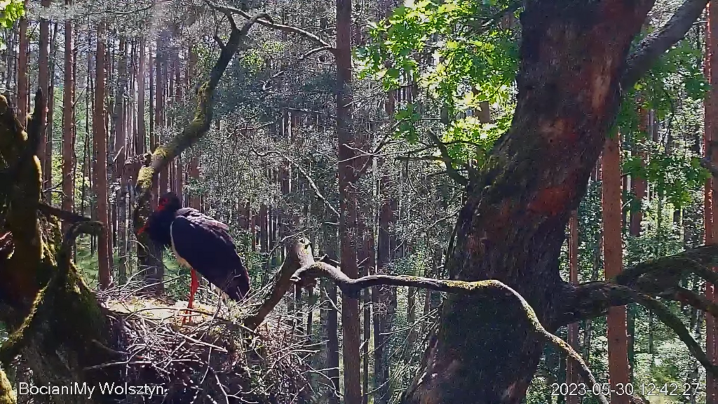 Zrzut ekranu (15920)