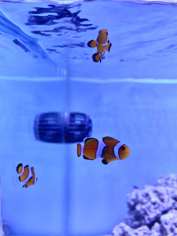 B7E5123A-038F-4E88-957B-B6218B775F3B