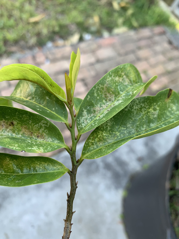 7450C07B-6BC4-40E4-8FAC-1DE64AE97D0C