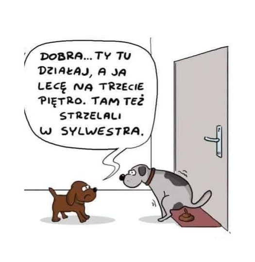 dogshitting-doormat.jpg