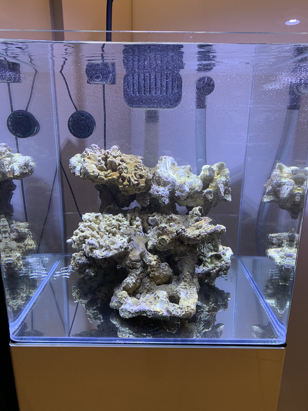 BB79DC3D-AC71-4461-9986-6D83B5D01ECE