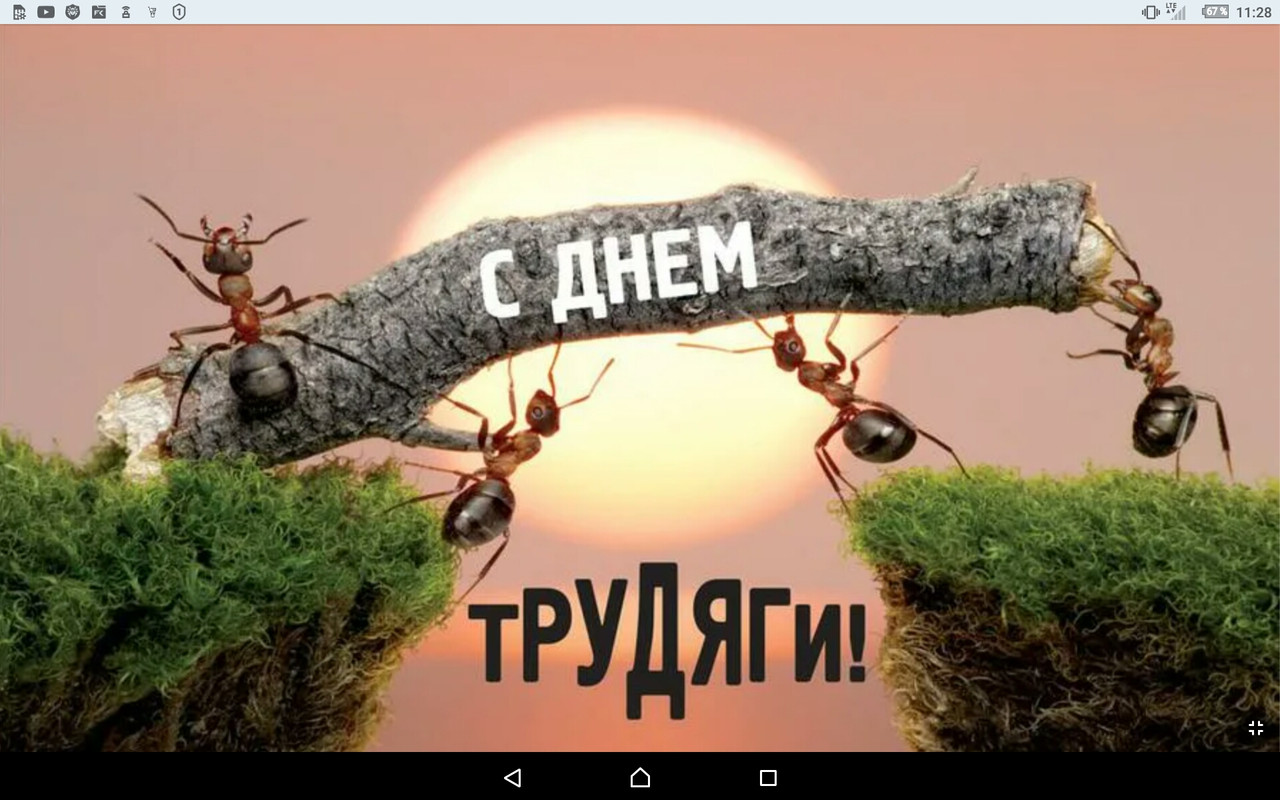 Screenshot_2022-07-22-11-28-32