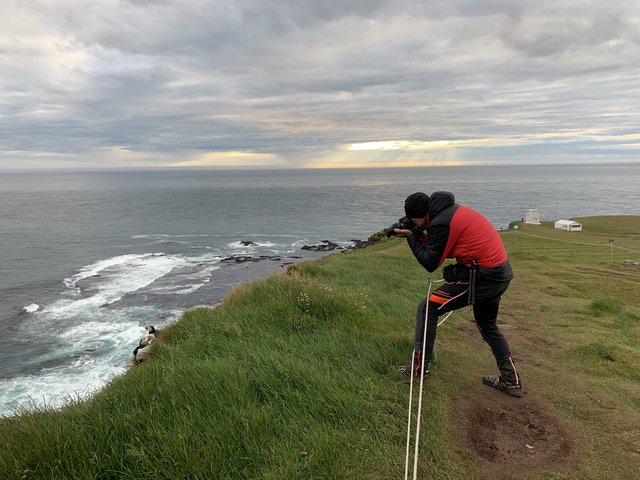 DIA 11 JULIO/22 DESTINO LATRABJARG A VER FRAILECILLOS - Islandia, 17 días..."sin sus noches" Julio 2022 (12)