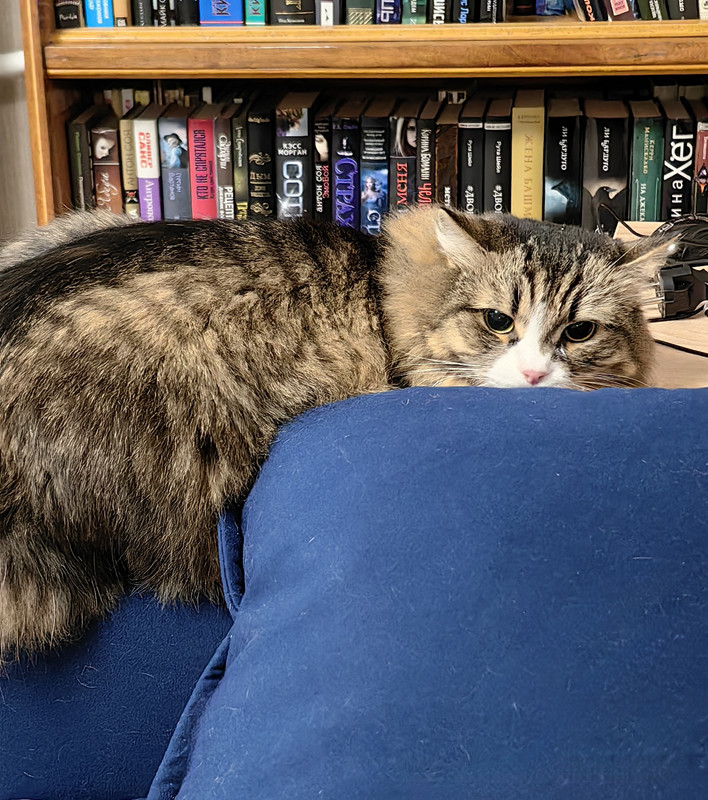 IMG_20240531_224145_edit_148316814149305