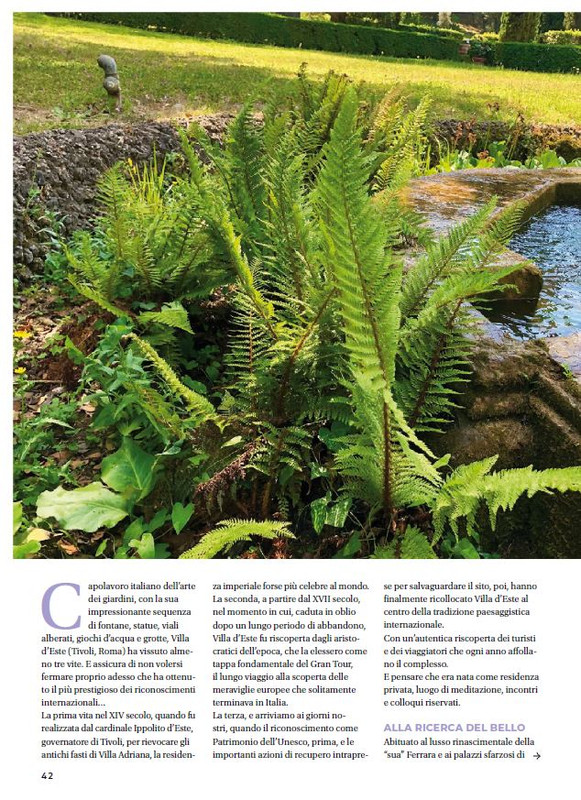 Gia Ant - Dic 2023 - Gen-Feb 2024 (1)