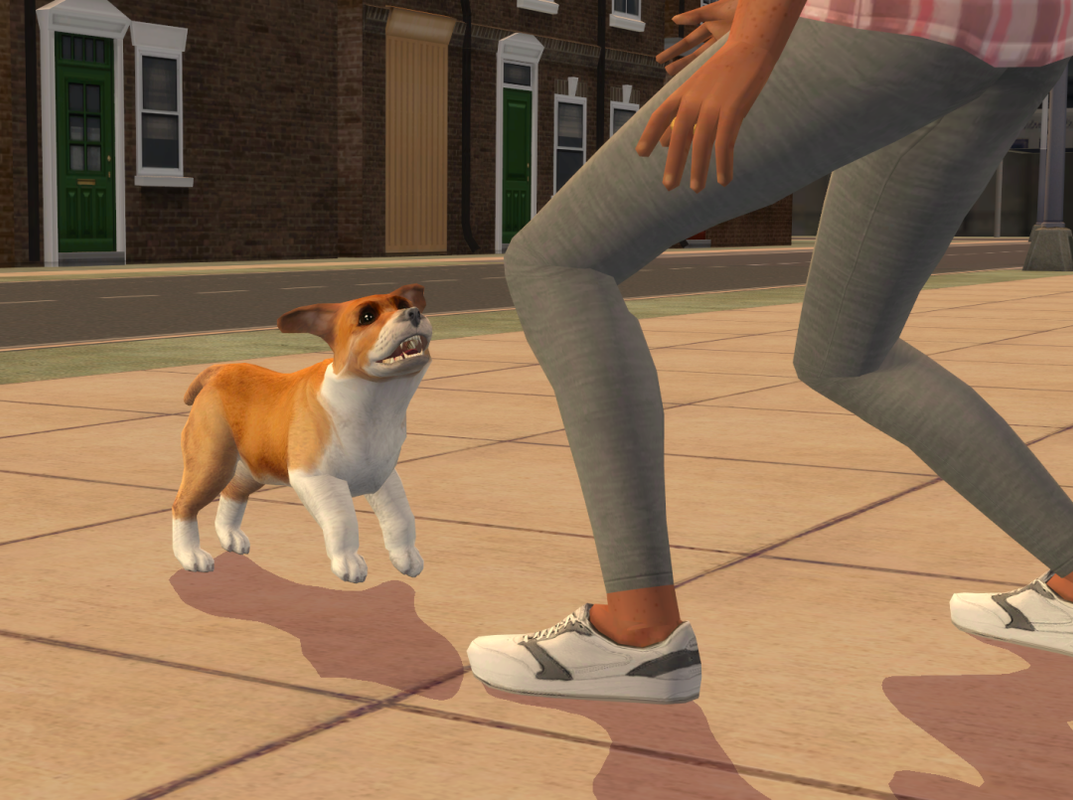 Sims2-EP9-RPC-2024-09-22-10-32-17-10