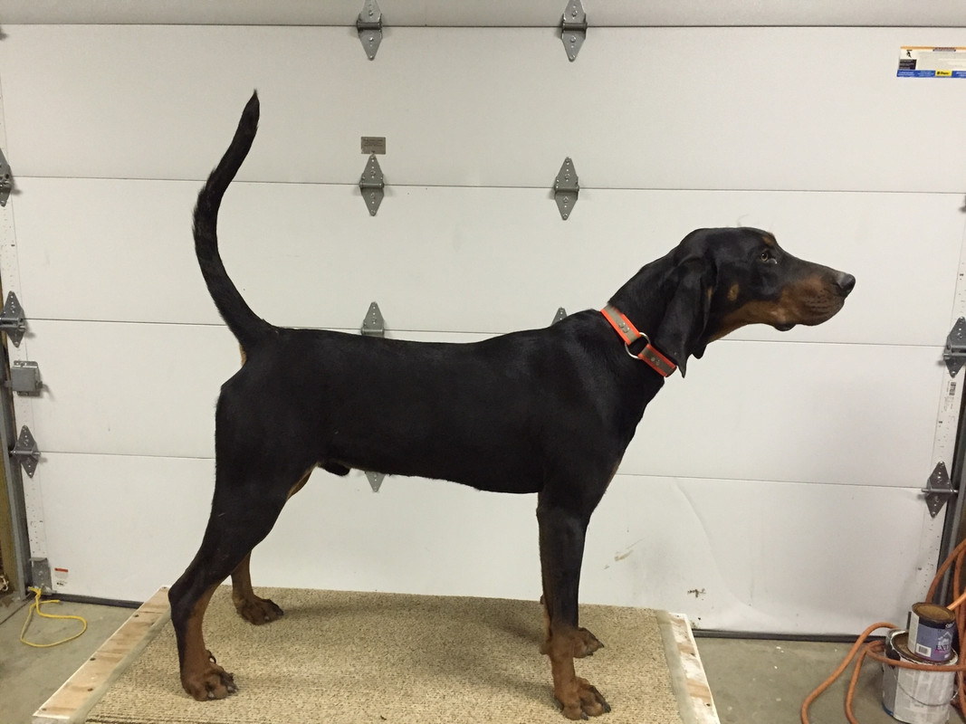 FBB4CFAD-1FBF-460A-A878-26D1C7C92A99