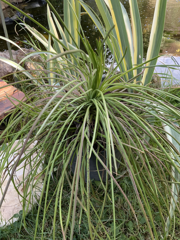 4D7AB6F6-DB6D-43C9-B3E3-B7B5E420EB09