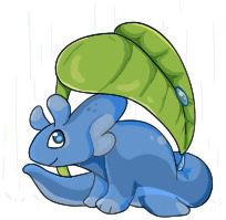 Rainy-Limax.jpg
