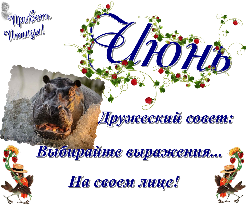 https://i.postimg.cc/zv24V2Ln/18-06.png