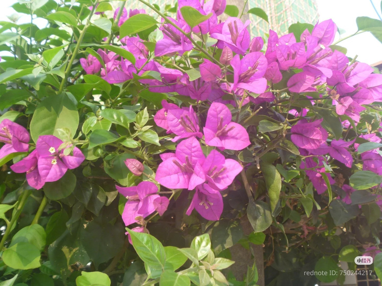 photo 8 2026 01 03 21 33 01