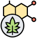 sativaindica.png
