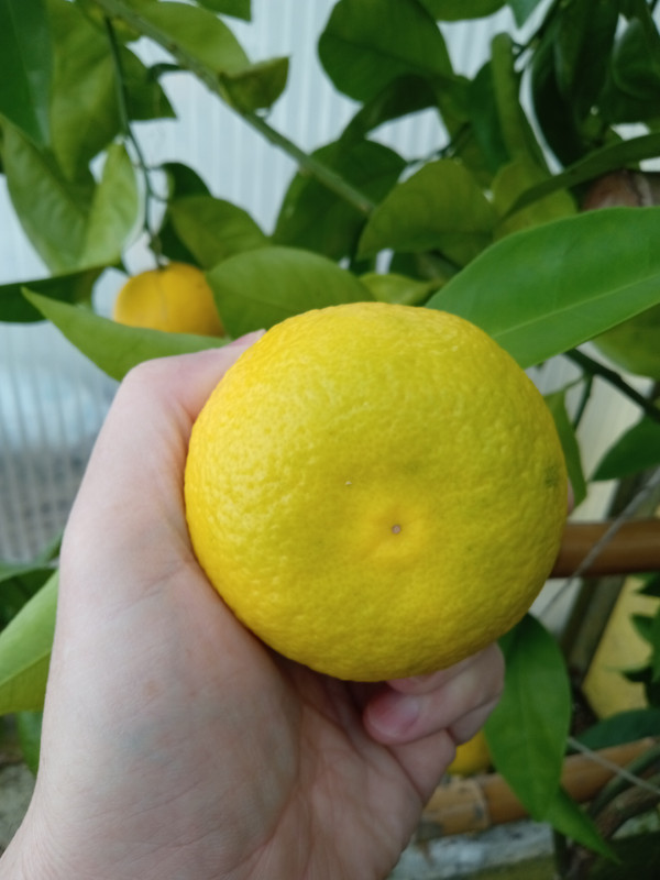 IMG 20260106 084449739 MFNR