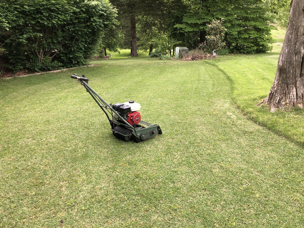 Zoysia Grass Control How To Get Rid Of Zoysia Grass DIY, 49 OFF