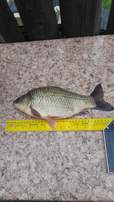 IMG-00faca5435adeea21bbae5603e527dcb-V