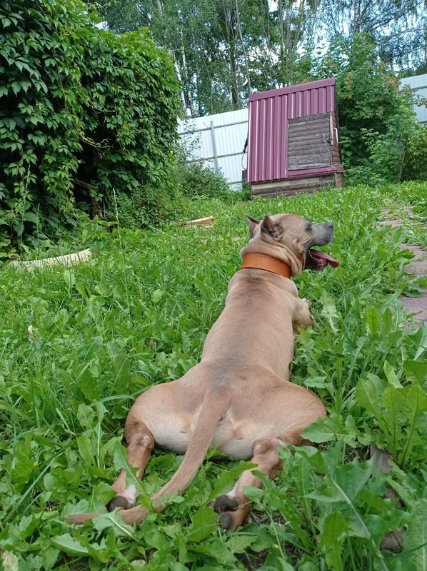 016F725B-5892-40B6-9674-00E4DD03090C