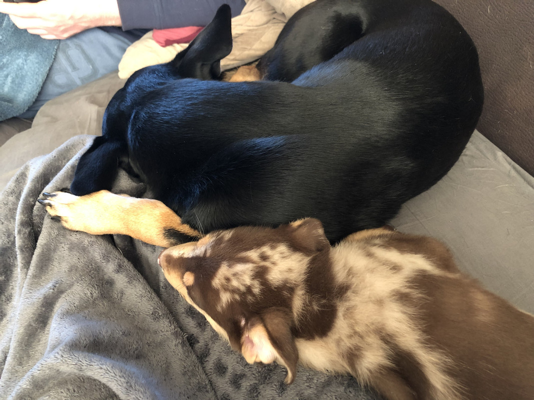 A7272AC5-C2C6-4E8A-AE2C-52FBD646587B