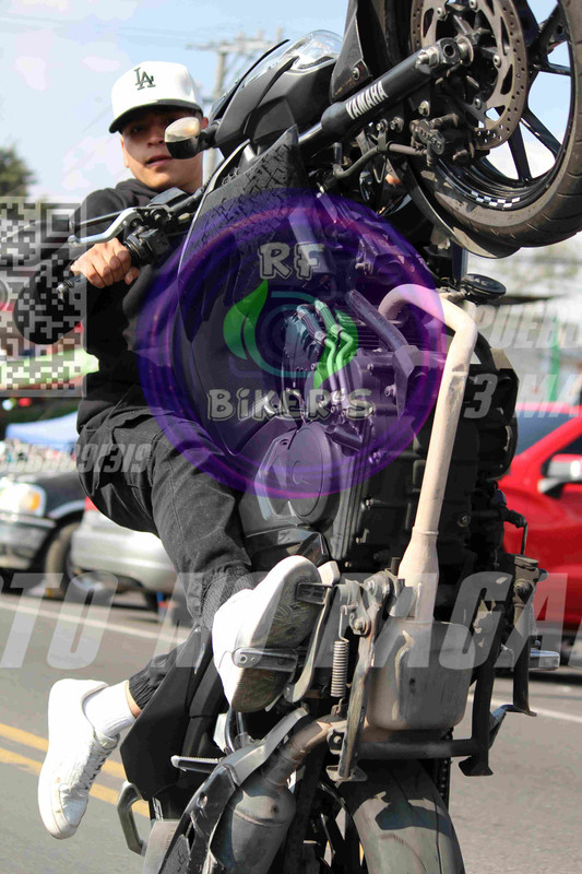batch IMG 3395 — Postimages