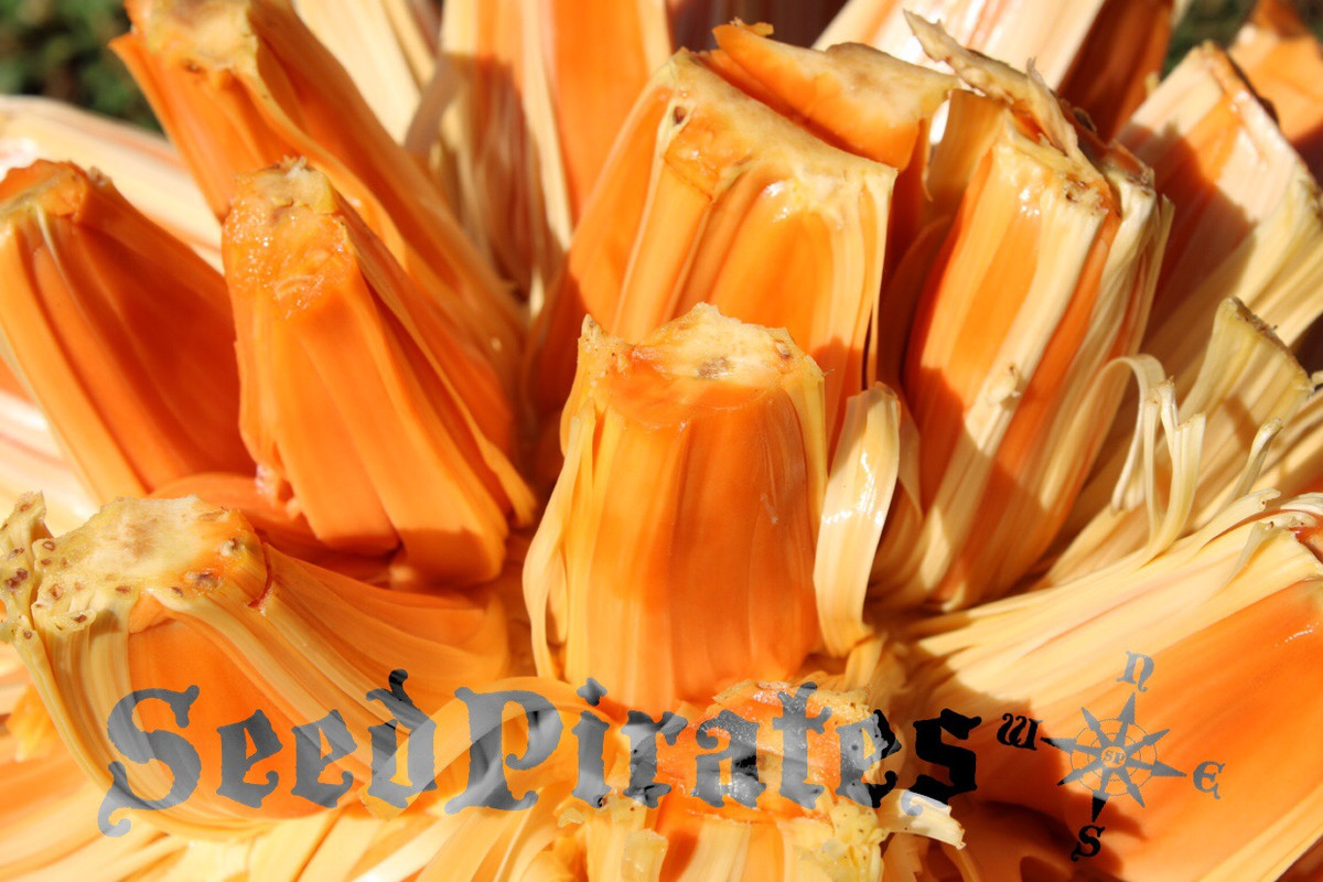 881D098E-4BFB-43F6-B082-F4B4E1101311