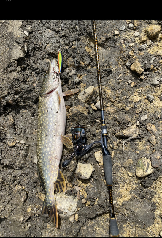 907AA6E4-DD86-4E43-A965-76CE87F97227