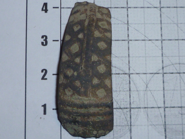 P1000906