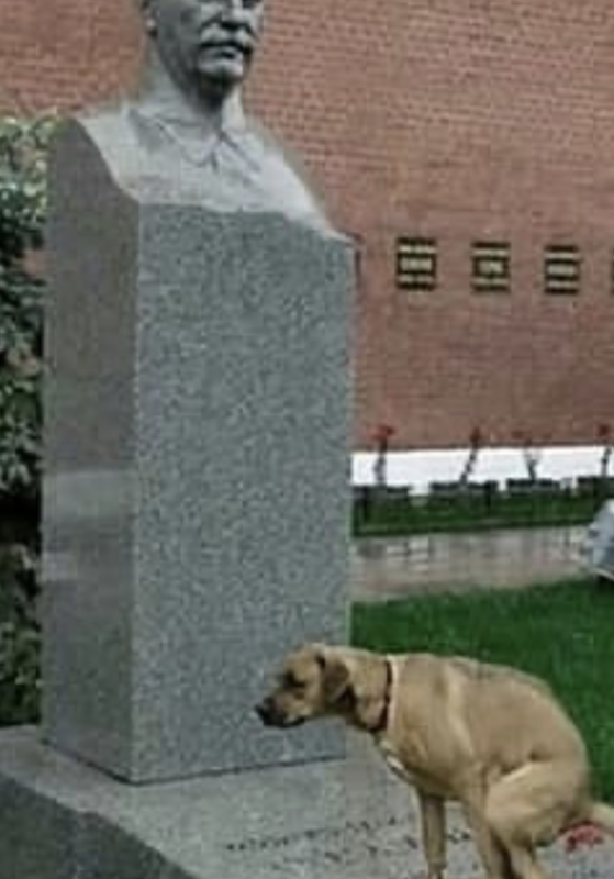 9622BCBC-662B-4859-B6B6-E87A342EA955