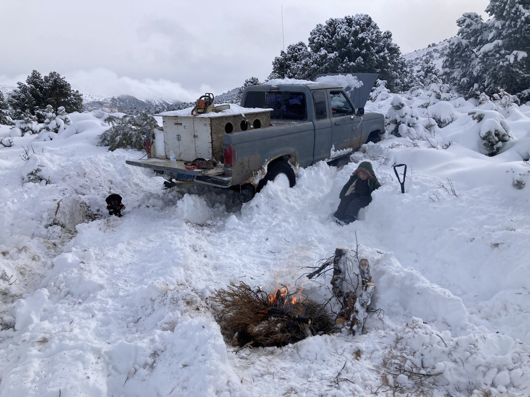 7FF9AC2C-A1E3-4294-9746-201F7B1DAE42