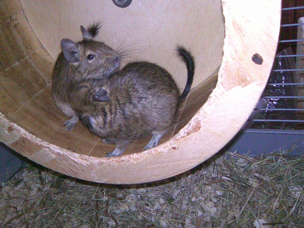 Image077