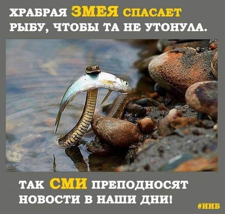 [Изображение: 1539cf5cab240e7f09dde66057777d86.jpg]