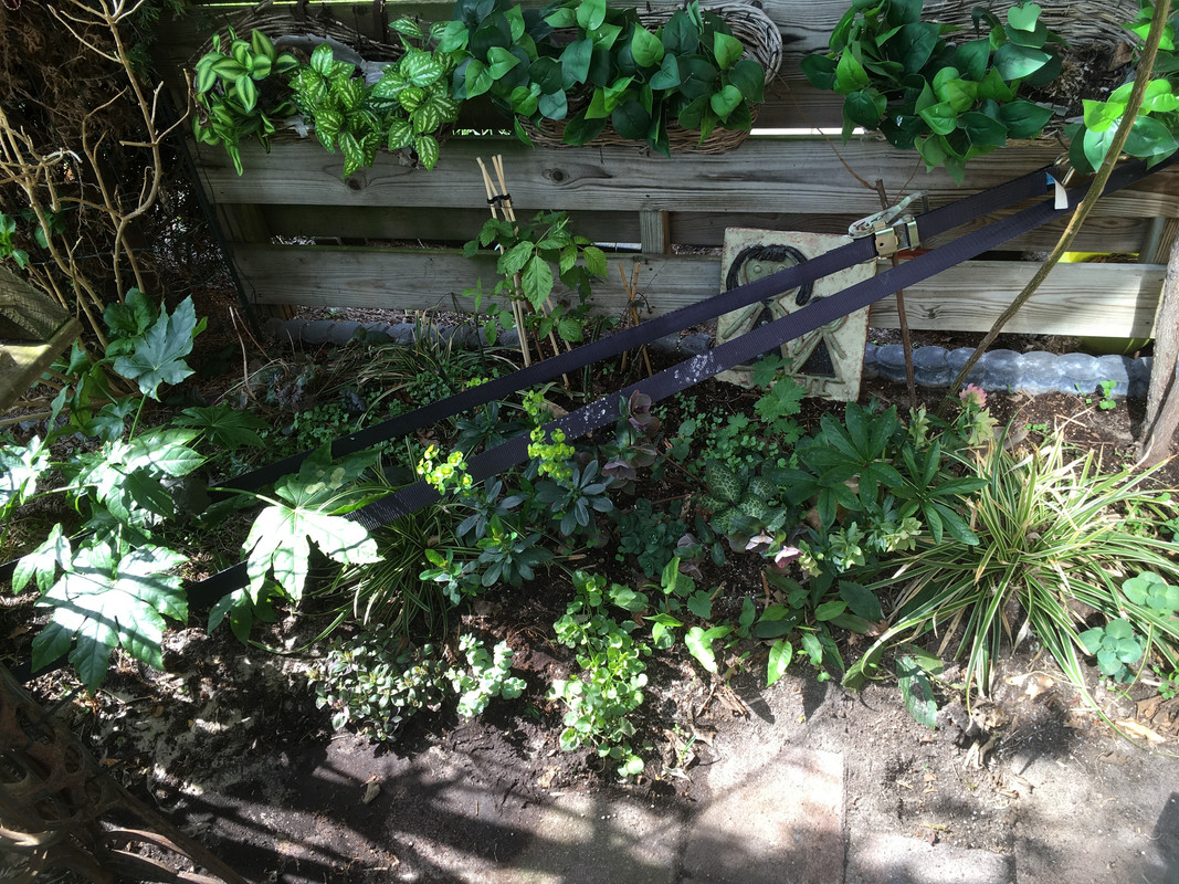 625D0566-9A1D-4F84-B4B8-B680A51C3238