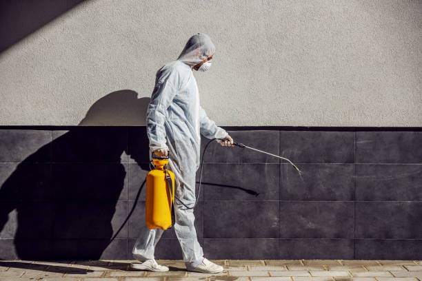 Termite-Treatment-8.jpg