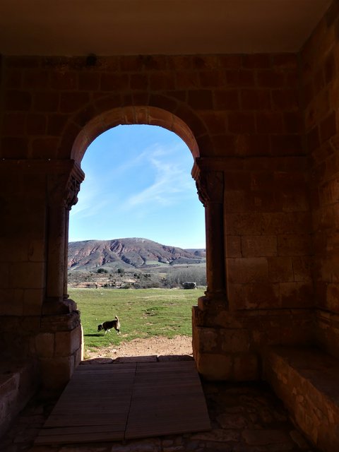 YACIMIENTO ARQUEOLOGICO DE TIERMES-16-2-2020 - Soria y sus pueblos-2010/2013/2020 (14)