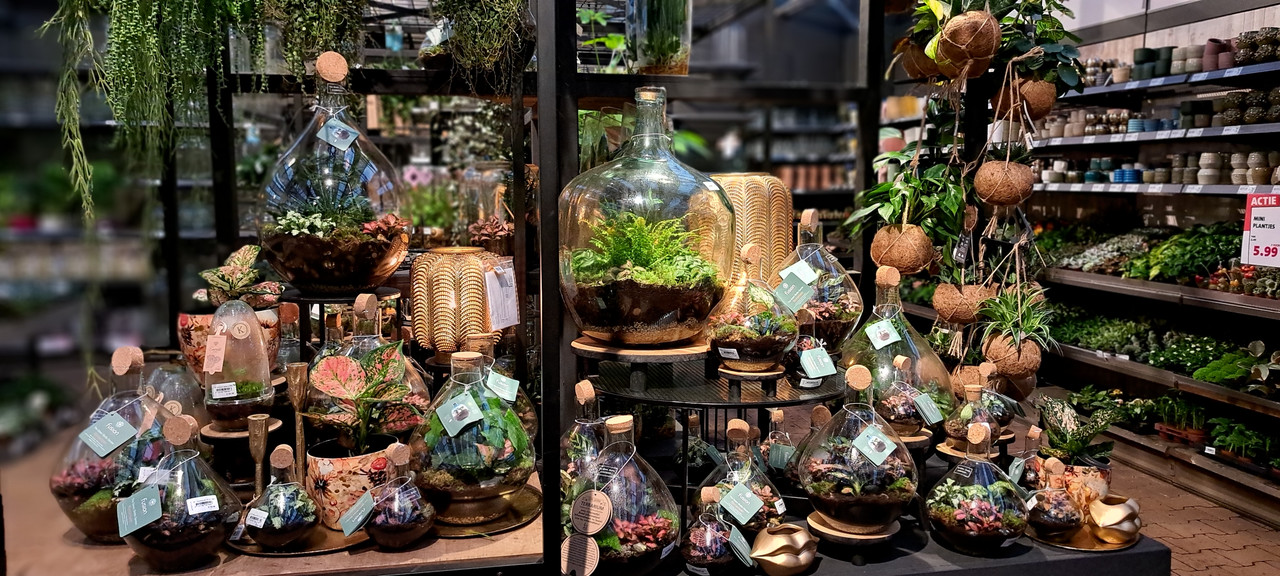 [Image: 20231012-172043.jpg]