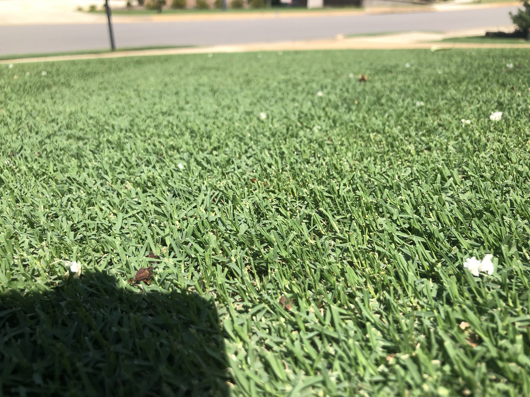 28411644-0E4A-454B-AF6B-7BF8C5B721F1